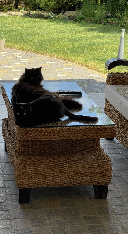 1AE04FA8-5669-42CE-96AA-7360ACA3A98D