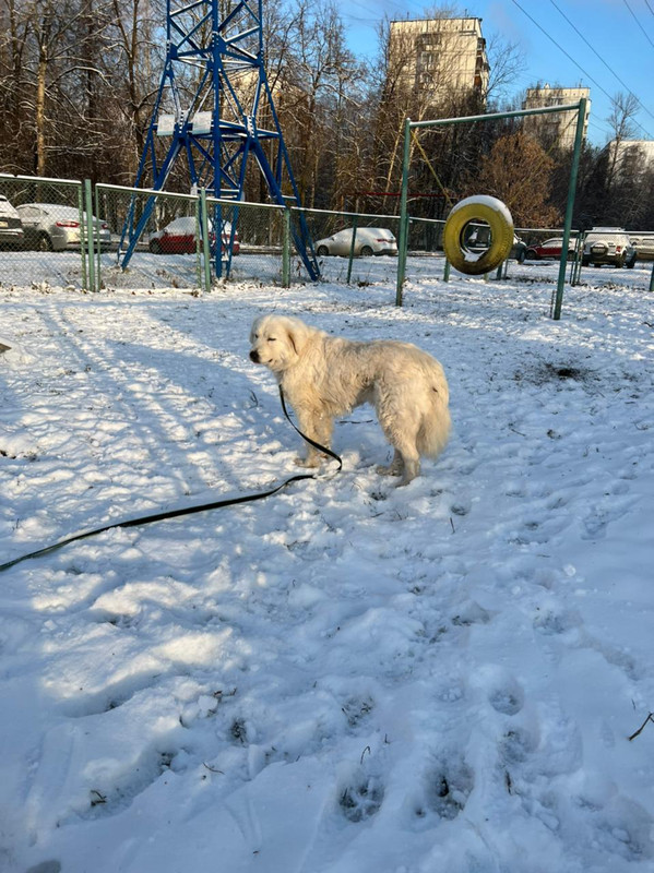 08840A27-906D-448D-BB44-F0D3DF204B58