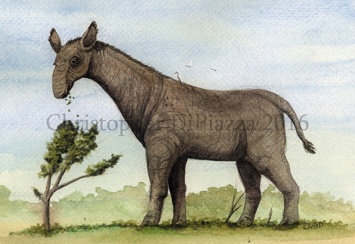 Paraceratherium