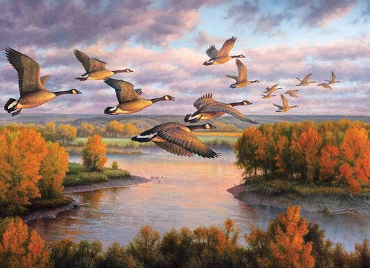 yes-geese-flying-south
