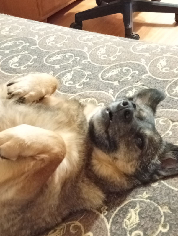 IMG c984957a6aa77a0505f748242b1f4dba V