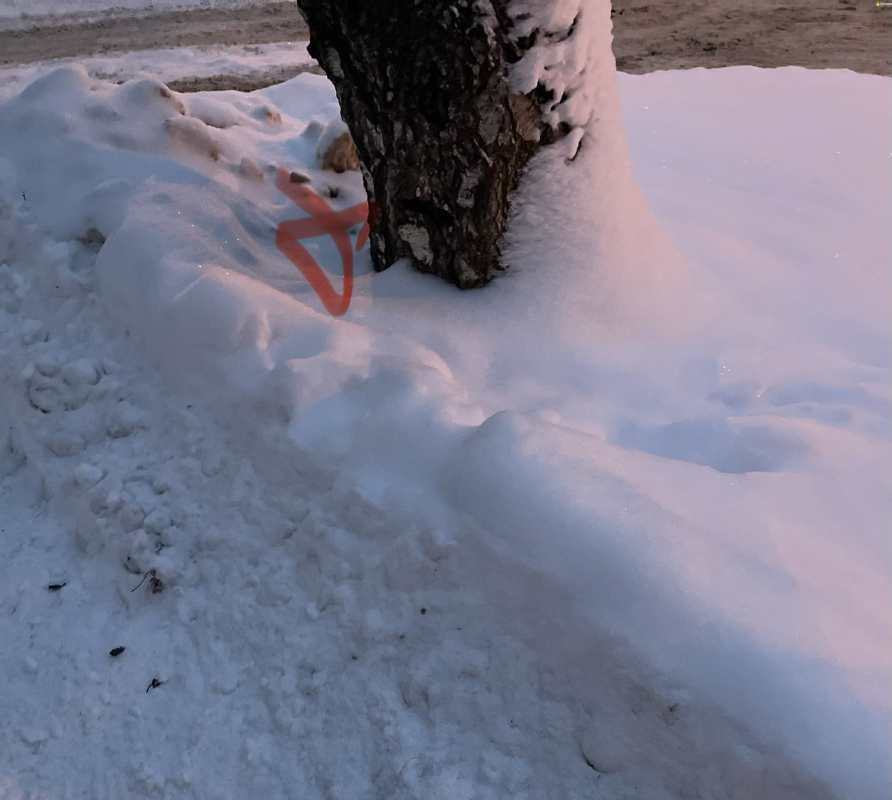 113m 20251226 170910265