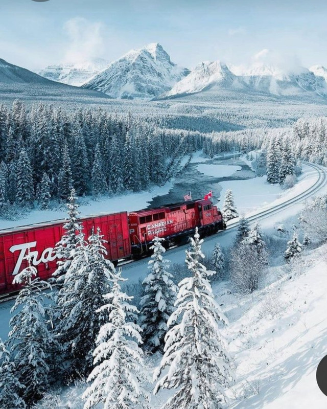 Screenshot_20230307_003548_Pinterest