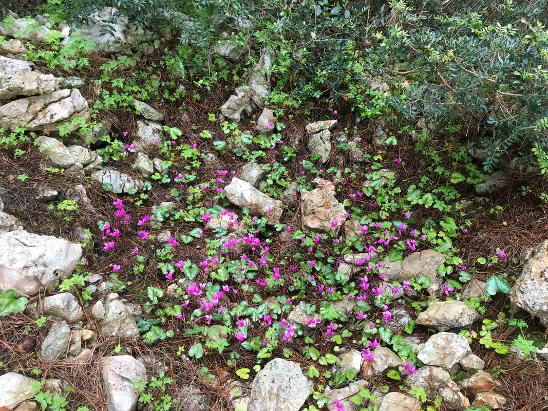 92ECEE0B-2F44-4A46-B8ED-3E4F8B229CD1