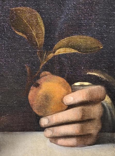 Roma: Villa Farnesina, Bernini&Barberini, Detroit Museum - Roma y Nápoles: Bernini, Giorgione y mucho más. (178)