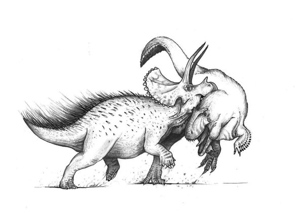 1677944123_papik-pro-p-tritseratops-risunok-prostoi-5