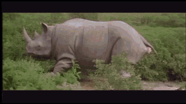 ezgif-com-gif-maker-1.gif