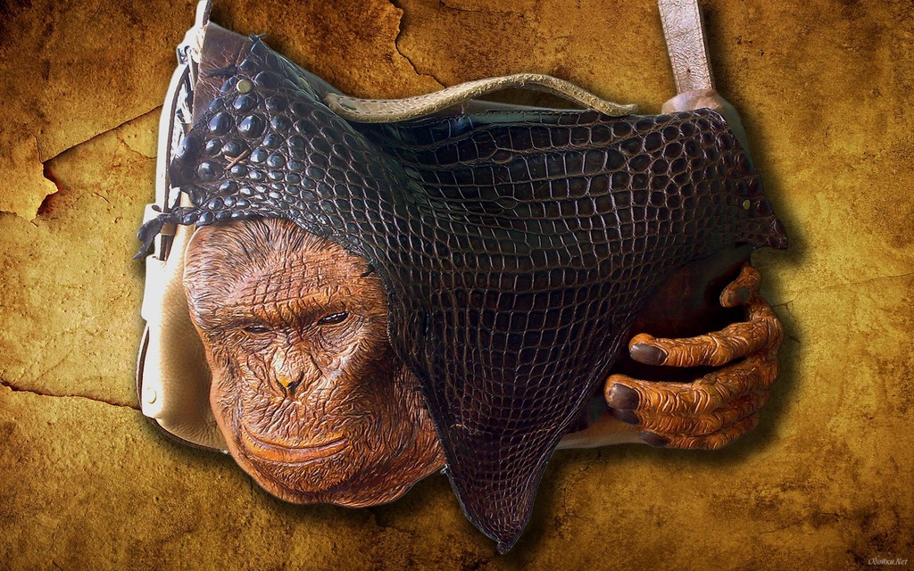 сумка обезьяна1