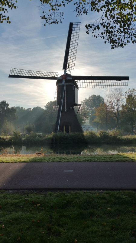Pieter, Oudegeinse Molen 03 Nieuwegein 06-10-2018