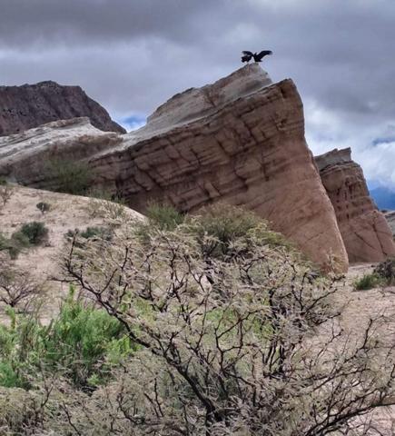 BELEN DE CATAMARCA. TRAYECTO HACIA LA PUNA DE CATAMARCA - ARGENTINA INFINITA II/ TORRES DEL PAINE (6)