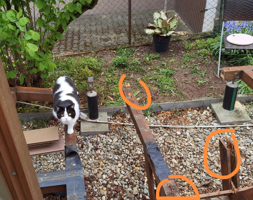 IMG_20231028_115537_edit_1193909017017296