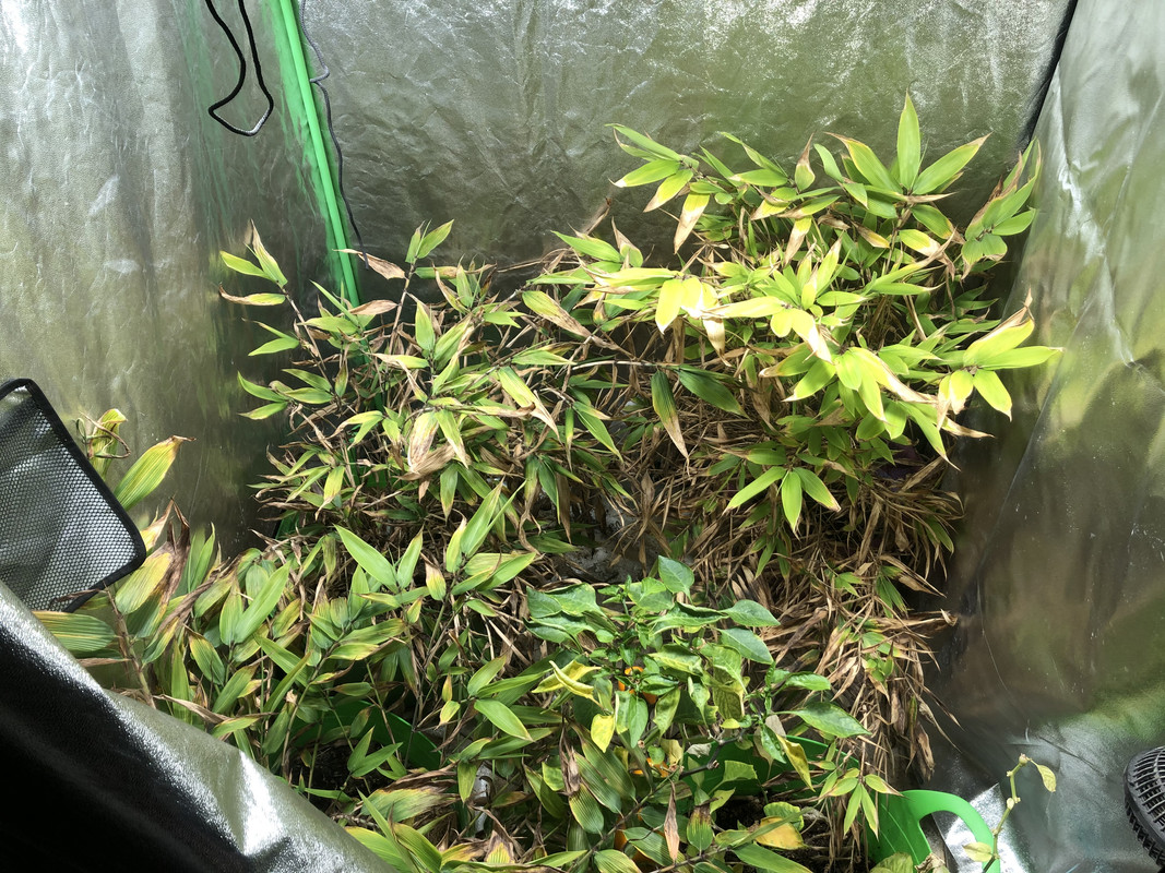 43C51762-F0CF-49EB-93A2-6692E4CB2B84