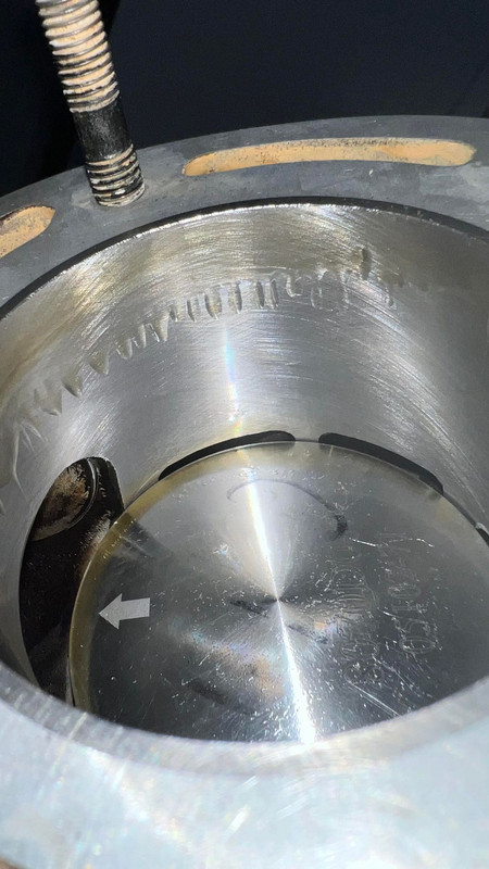 337229393_2556904184472868_3385661420572867533_n