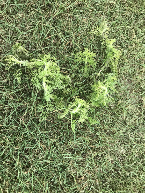 F83623C2-4652-4D67-AFB5-D7E1C41FF567