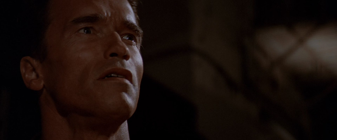 Last Action Hero (1993) (1080p BluRay x265 FreetheFish)-11