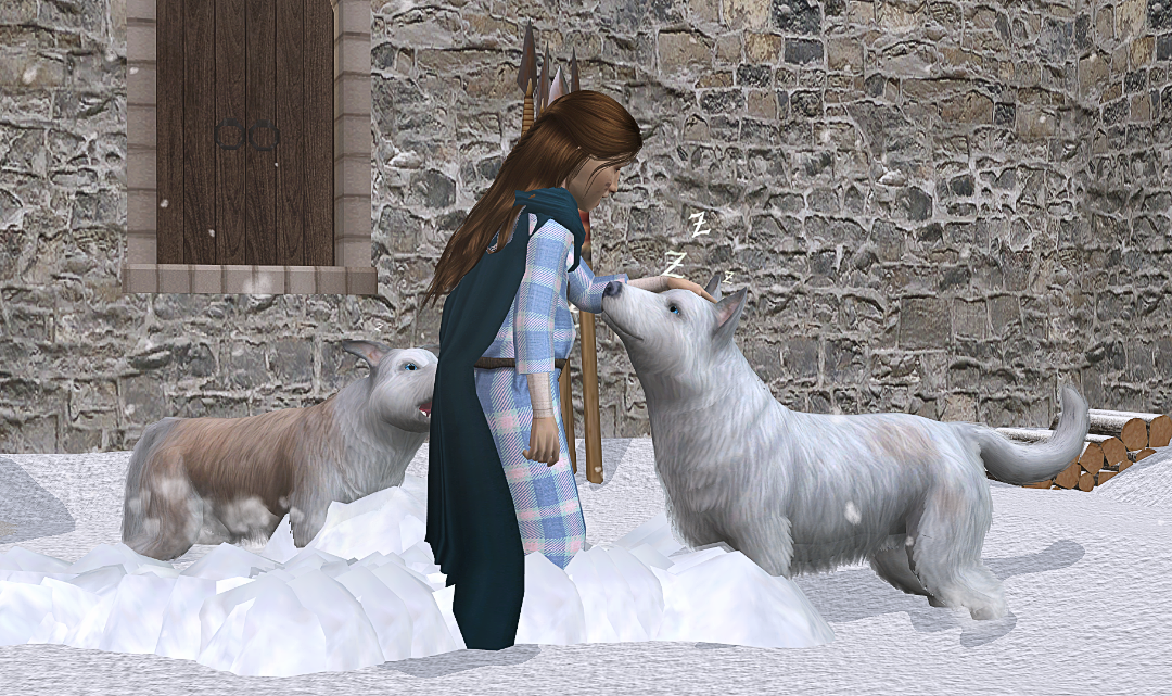 screenshot_2026_02_05_16_29