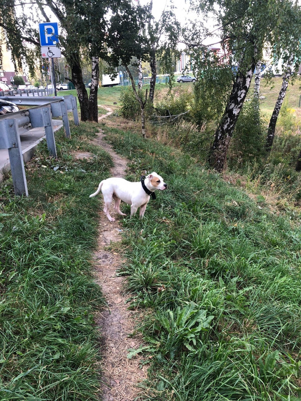 1B7623C6-F612-4AD2-BA32-B8F15A20E0A4