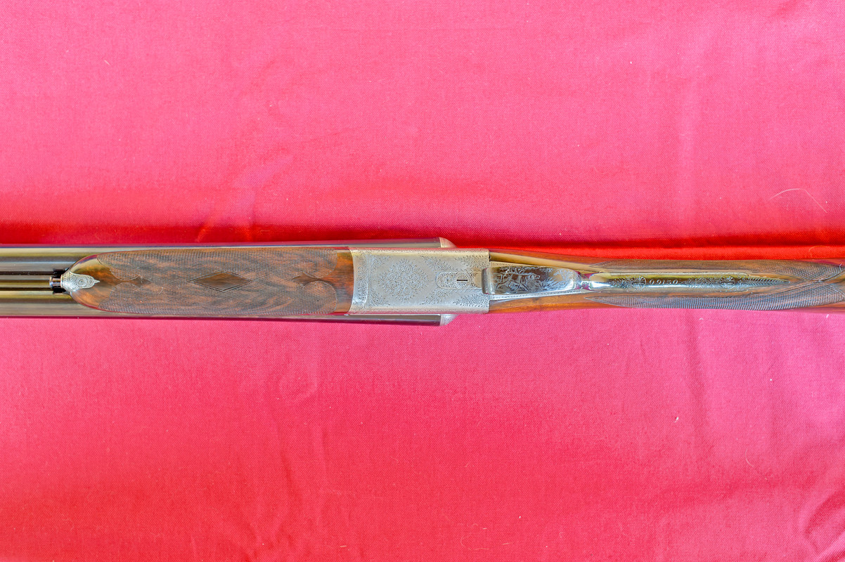 11145D13-4FE2-48BB-8EC8-9D0C04B019EB