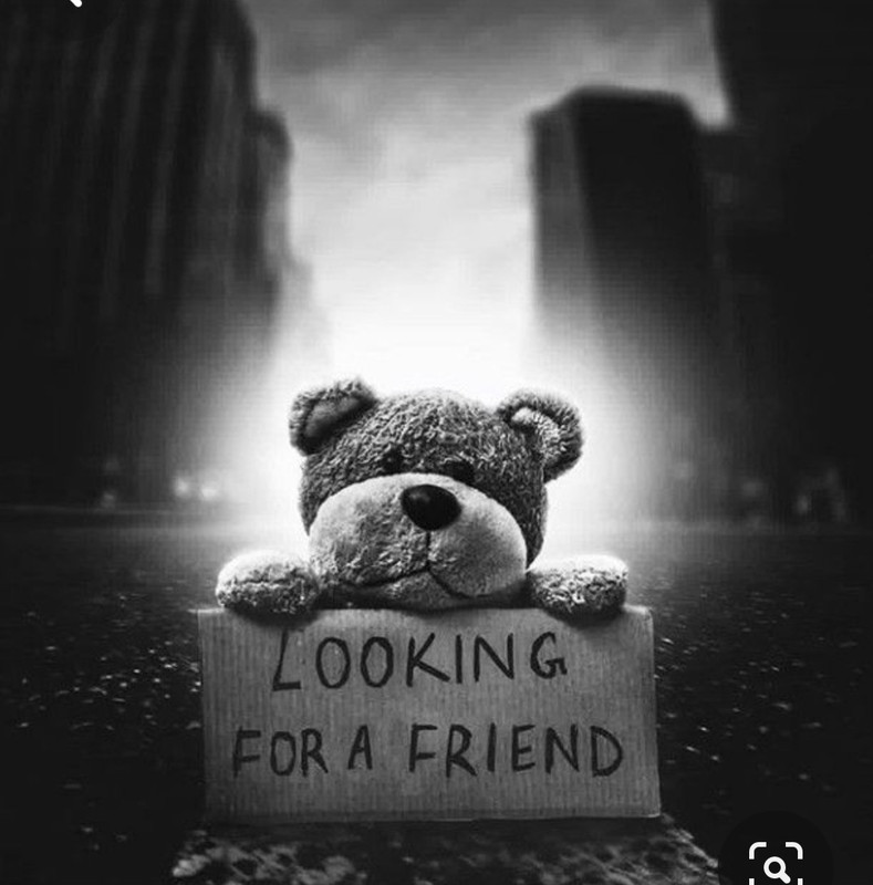 Screenshot_20231128_190336_Pinterest