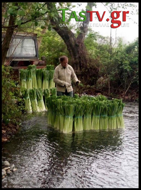 2025-02-17-151416-LGO