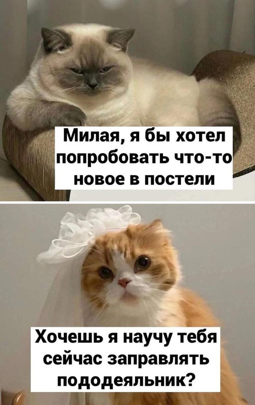 303a2bd53b53712bcbdb950635681df2.jpg