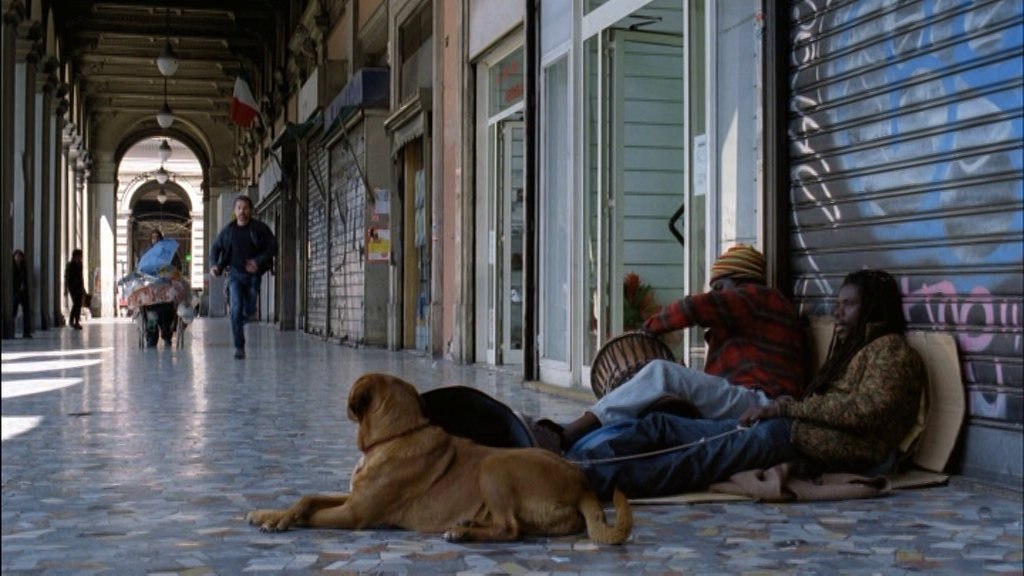 vlcsnap-2024-07-03-01h33m42s914 - Copia