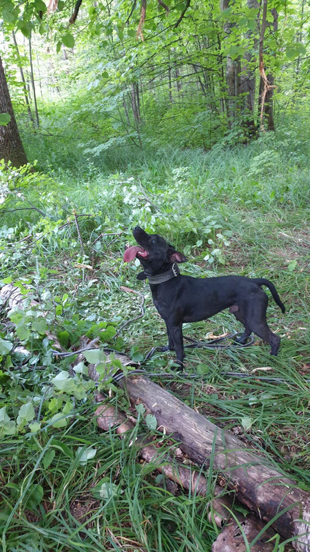 DDEF4F70-C882-477E-A92C-C9D96C95E22F