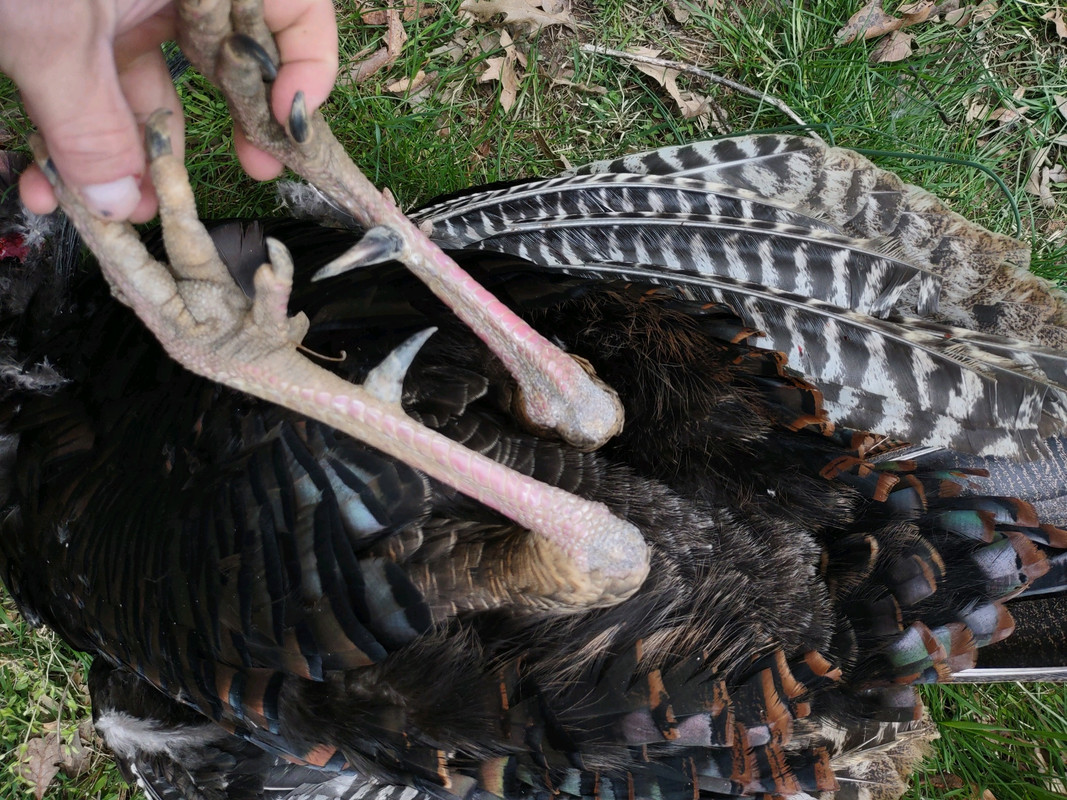 9E4AD54E-1C73-4E28-9EC0-2406C564219B