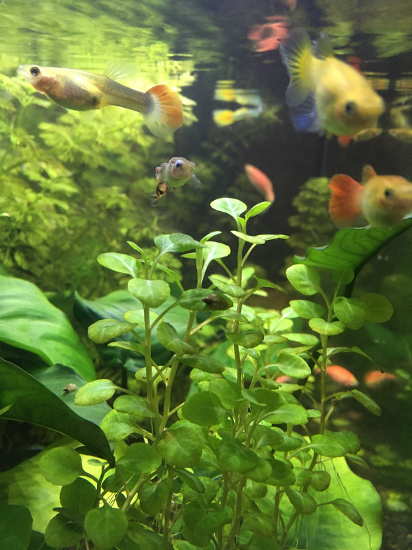 4DA474FC-17AC-4F3E-B956-5C9D2152AFC0