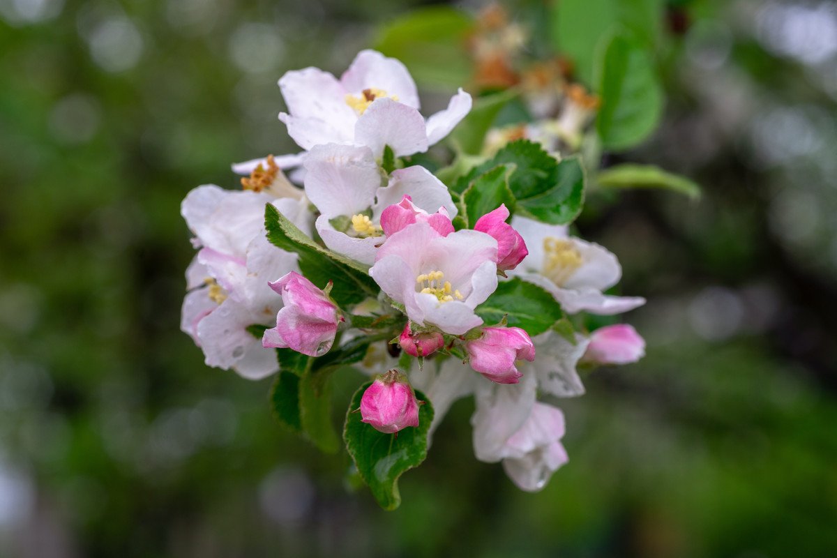 72D30486-927A-43E2-B74A-45D2325C4EDF