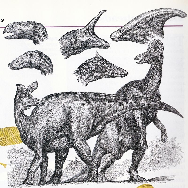 506696eeb9cd5b512936ebdc33d6efe7