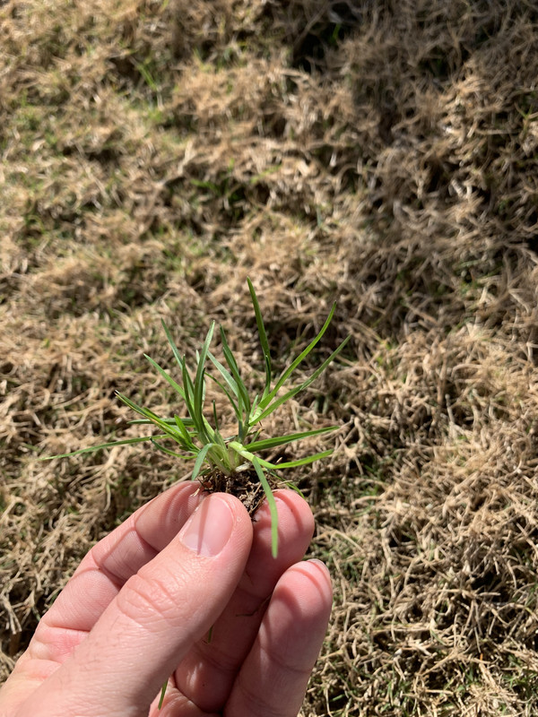 0CCF05D4-AF70-4BBF-AEC0-4B6EFBB2A0AA