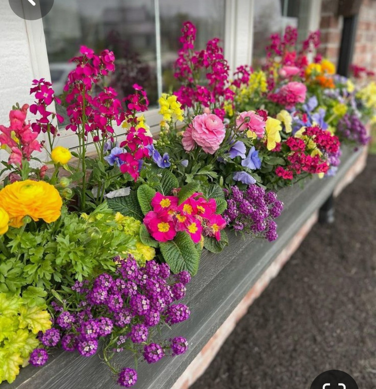 Screenshot_20240331_170313_Pinterest