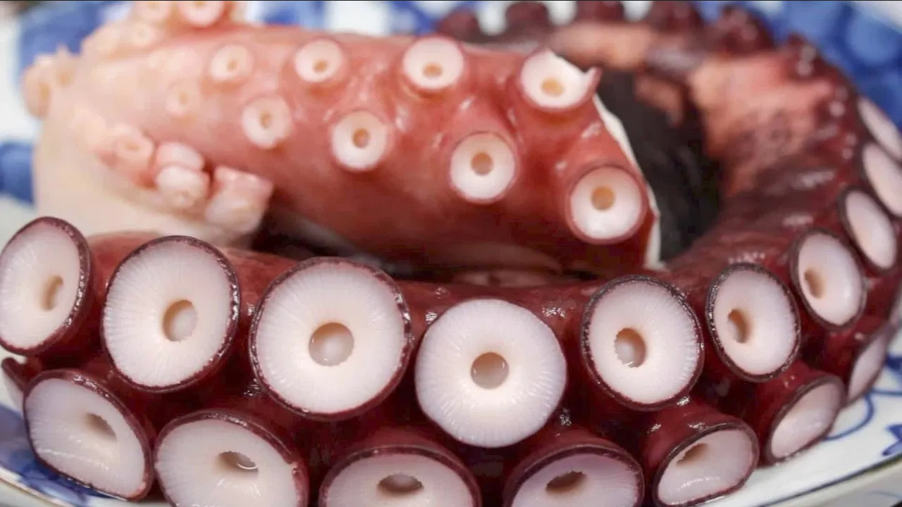 Evita que el pulpo quede chicloso o duro con este truco de cocina