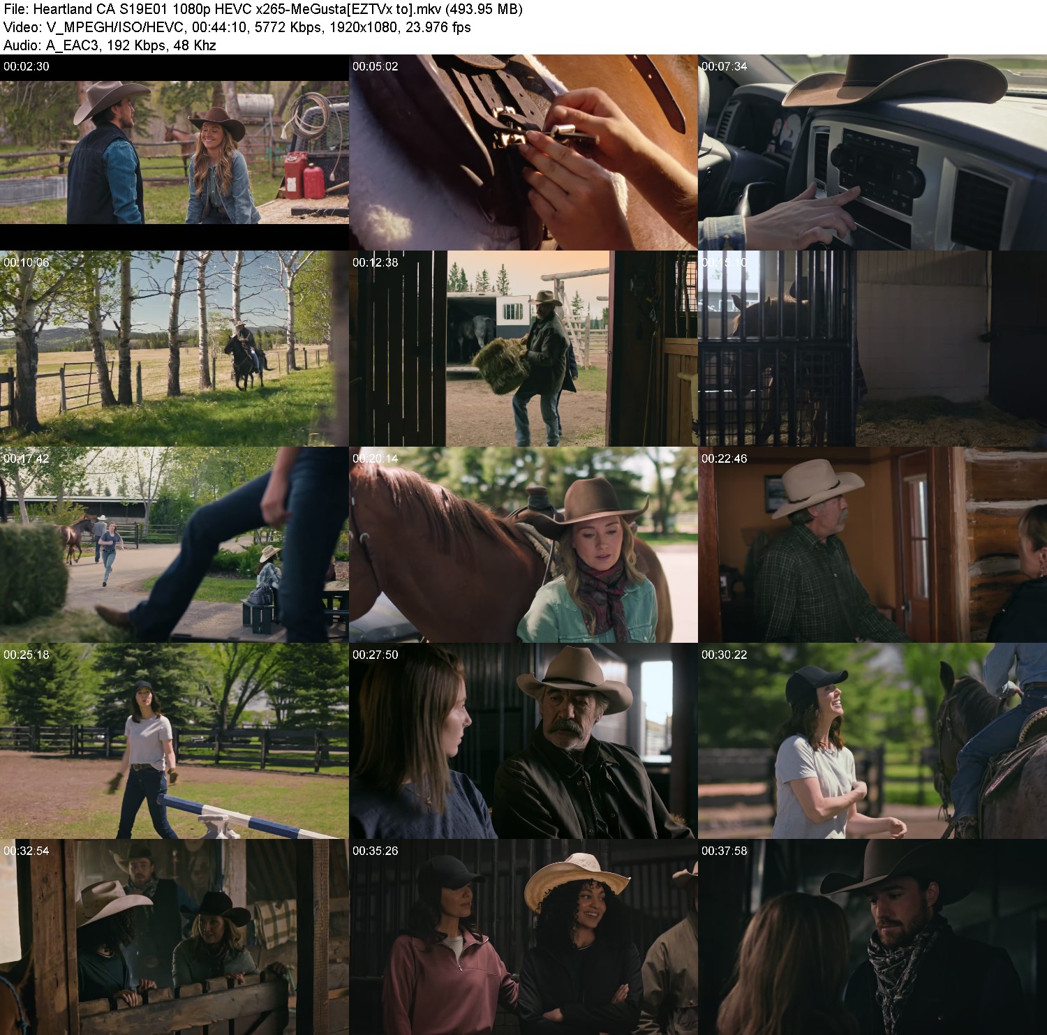 [Image: 8q9ybfm24hcz.jpg]