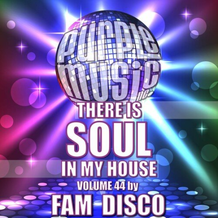 56214d15 0bd7 4317 810e d46221490ab4 - Fam Disco Presents There is Soul in My House Vol.46 (2023)