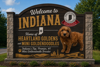 welcome to Indiana sign