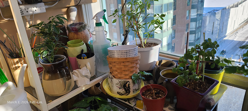 [Image: 20260301-084556.jpg]