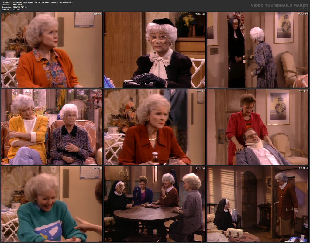 The Golden Girls S06E08 How Do You Solve a Problem Like Sophia.mkv