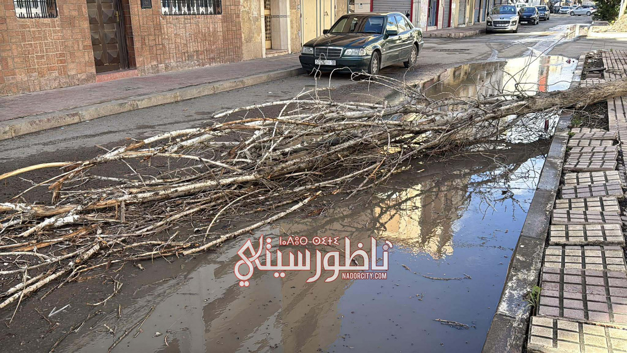 589802429-2031651774236562-8015405118457226450-n