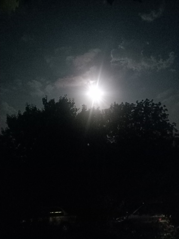 IMG20210821223537.jpg