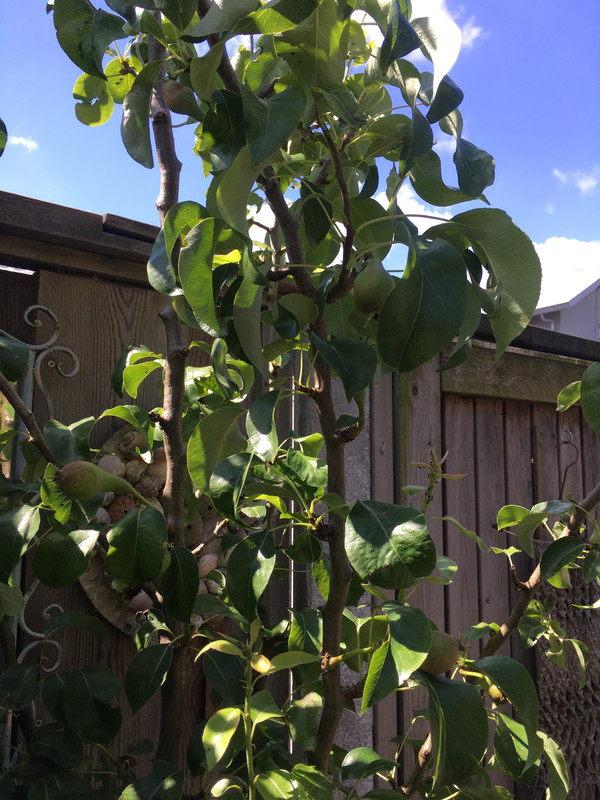 E658A2F3-4E02-4A82-A0EB-51772435CFC5