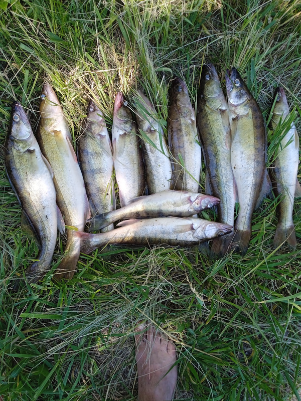 IMG_20220711_122906_1