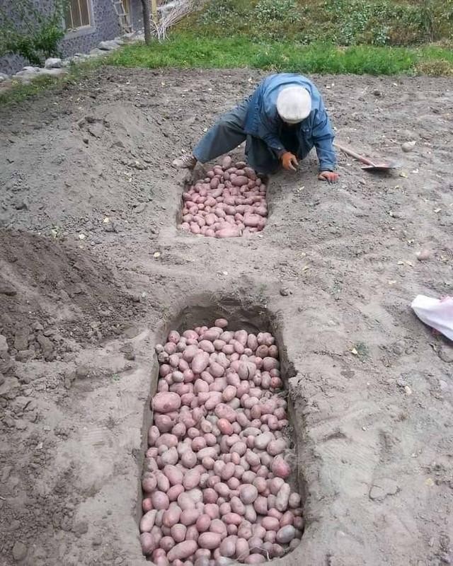 Хундза