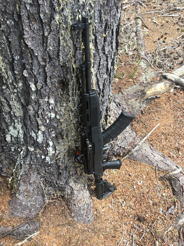 8DC23D91-38F3-4486-88D9-11CEAB33B5CE