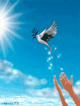 https://i.postimg.cc/7P70BCTL/5fef6ba969af5133fbc4cf8e41a7f1de.gif