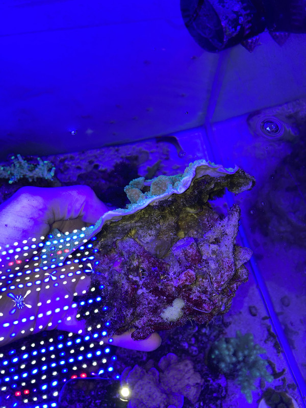 B107F84C-A284-4DFA-BABF-C81D16A82779