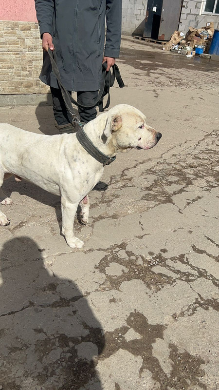 WhatsApp Image 2024-04-05 at 13.29.28 (1)