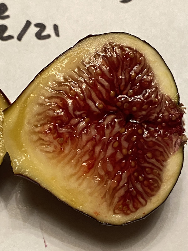 823EDE26-BC27-4E53-85F4-C73925DD7288