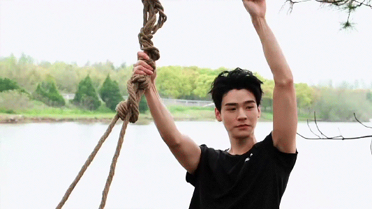 4.gif